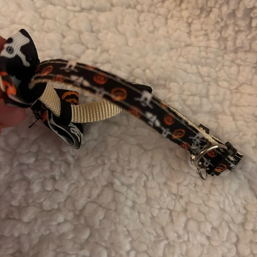 Cat collar, Halloween style, adjustable, black and orange